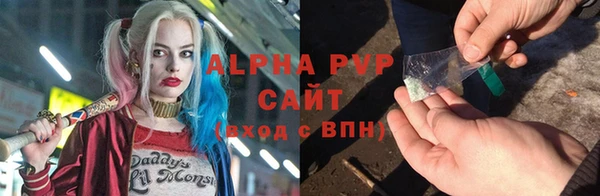 прущие грибы Володарск