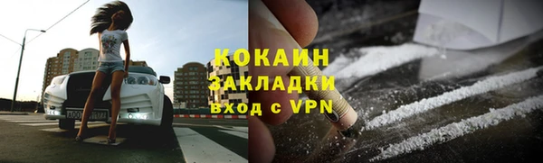 прущие грибы Володарск